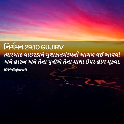 Picture 02 - નિર્ગમન 29:10 GUJIRV - ત્યારબાદ વાછરડાને - Bible Verse Picture
