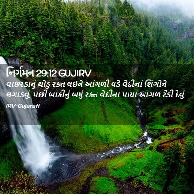 Picture 02 - નિર્ગમન 29:12 GUJIRV - વાછરડાનું થોડું - Bible Verse Picture