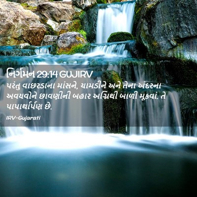 Picture 02 - નિર્ગમન 29:14 GUJIRV - પરંતુ વાછરડાના - Bible Verse Picture