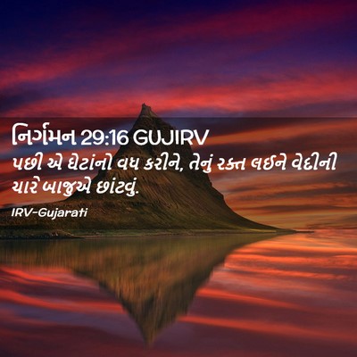 Picture 02 - નિર્ગમન 29:16 GUJIRV - પછી એ ઘેટાંનો વધ - Bible Verse Picture