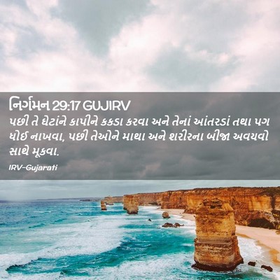 Picture 02 - નિર્ગમન 29:17 GUJIRV - પછી તે ઘેટાંને - Bible Verse Picture