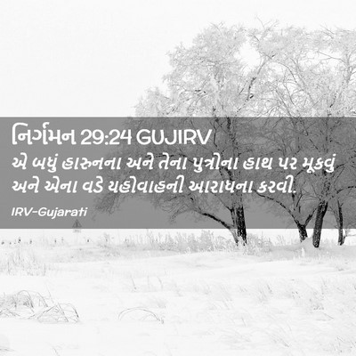 Picture 02 - નિર્ગમન 29:24 GUJIRV - એ બધું હારુનના અને - Bible Verse Picture