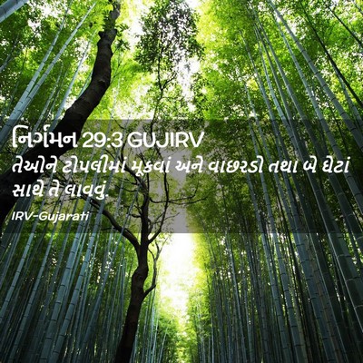 Picture 02 - નિર્ગમન 29:3 GUJIRV - તેઓને ટોપલીમાં - Bible Verse Picture