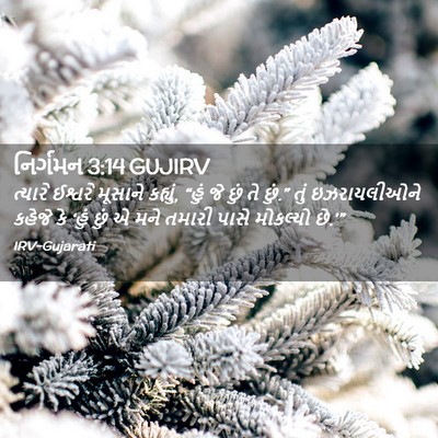 Picture 02 - નિર્ગમન 3:14 GUJIRV - ત્યારે ઈશ્વરે - Bible Verse Picture
