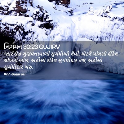 Picture 02 - નિર્ગમન 30:23 GUJIRV - “તારે શ્રેષ્ઠ - Bible Verse Picture
