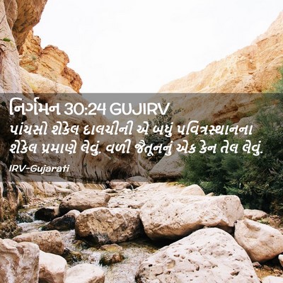 Picture 02 - નિર્ગમન 30:24 GUJIRV - પાંચસો શેકેલ - Bible Verse Picture