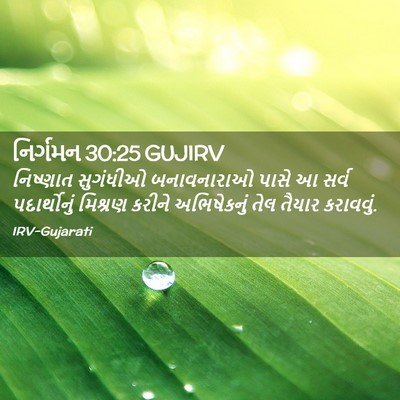 Picture 02 - નિર્ગમન 30:25 GUJIRV - નિષ્ણાત સુગંધીઓ - Bible Verse Picture