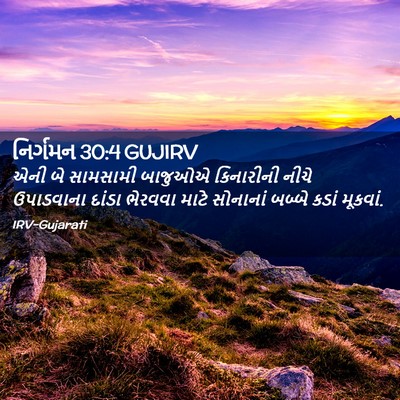 Picture 02 - નિર્ગમન 30:4 GUJIRV - એની બે સામસામી - Bible Verse Picture
