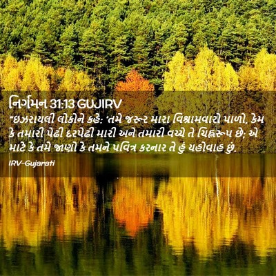 Picture 02 - નિર્ગમન 31:13 GUJIRV - “ઇઝરાયલી લોકોને - Bible Verse Picture
