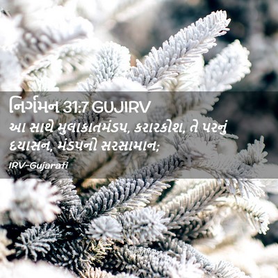 Picture 02 - નિર્ગમન 31:7 GUJIRV - આ સાથે - Bible Verse Picture