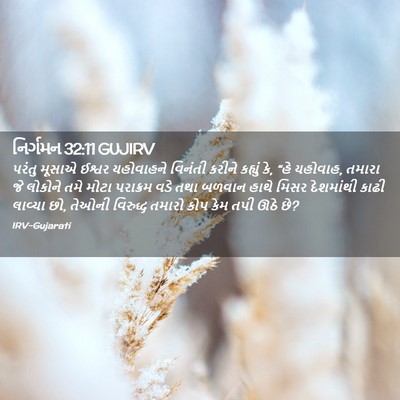 Picture 02 - નિર્ગમન 32:11 GUJIRV - પરંતુ મૂસાએ ઈશ્વર - Bible Verse Picture