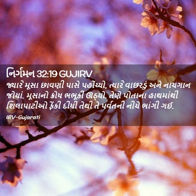 Picture 02 - નિર્ગમન 32:19 GUJIRV - જ્યારે મૂસા છાવણી - Bible Verse Picture