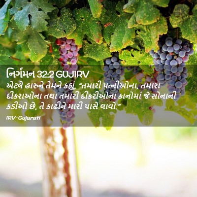 Picture 02 - નિર્ગમન 32:2 GUJIRV - એટલે હારુને તેમને - Bible Verse Picture