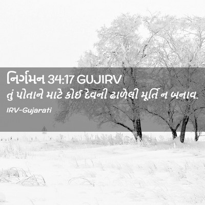 Picture 02 - નિર્ગમન 34:17 GUJIRV - તું પોતાને માટે - Bible Verse Picture