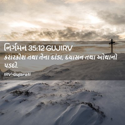 Picture 02 - નિર્ગમન 35:12 GUJIRV - કરારકોશ તથા તેના - Bible Verse Picture