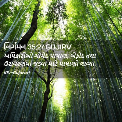 Picture 02 - નિર્ગમન 35:27 GUJIRV - અધિકારીઓ ગોમેદ - Bible Verse Picture