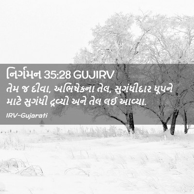 Picture 02 - નિર્ગમન 35:28 GUJIRV - તેમ જ દીવા, - Bible Verse Picture