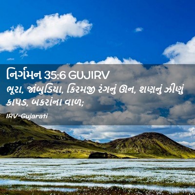 Picture 02 - નિર્ગમન 35:6 GUJIRV - ભૂરા, જાંબુડિયા, - Bible Verse Picture