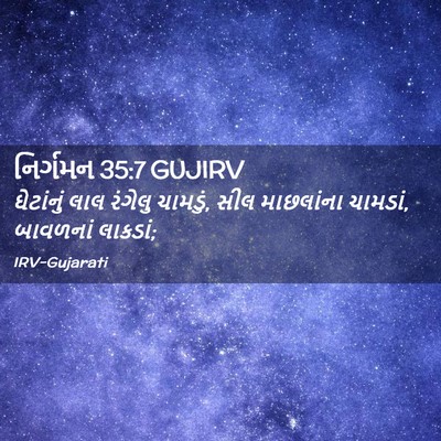 Picture 02 - નિર્ગમન 35:7 GUJIRV - ઘેટાંનું લાલ - Bible Verse Picture