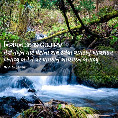 Picture 02 - નિર્ગમન 36:19 GUJIRV - તેણે તંબુને માટે - Bible Verse Picture