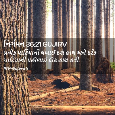 Picture 02 - નિર્ગમન 36:21 GUJIRV - પ્રત્યેક પાટિયાની - Bible Verse Picture