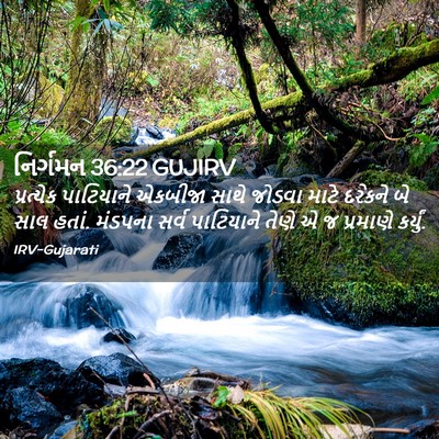 Picture 02 - નિર્ગમન 36:22 GUJIRV - પ્રત્યેક પાટિયાને - Bible Verse Picture