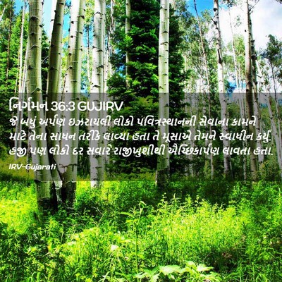 Picture 02 - નિર્ગમન 36:3 GUJIRV - જે બધું અર્પણ - Bible Verse Picture
