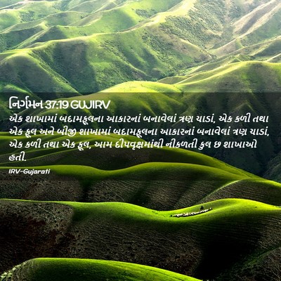 Picture 02 - નિર્ગમન 37:19 GUJIRV - એક શાખામાં - Bible Verse Picture