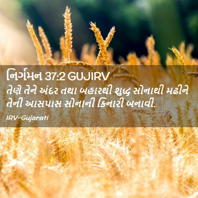 Picture 02 - નિર્ગમન 37:2 GUJIRV - તેણે તેને અંદર તથા - Bible Verse Picture