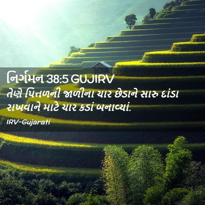 Picture 02 - નિર્ગમન 38:5 GUJIRV - તેણે પિત્તળની - Bible Verse Picture