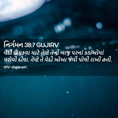 Picture 02 - નિર્ગમન 38:7 GUJIRV - વેદી ઊંચકવા માટે - Bible Verse Picture