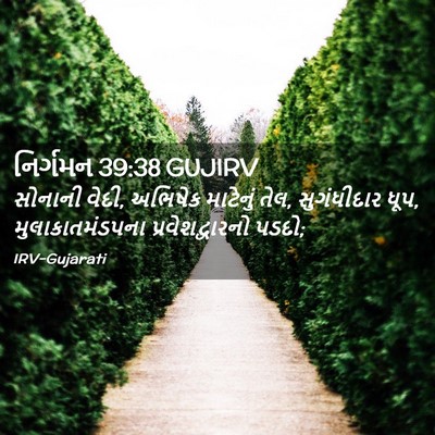 Picture 02 - નિર્ગમન 39:38 GUJIRV - સોનાની વેદી, - Bible Verse Picture