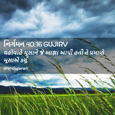 Picture 02 - નિર્ગમન 40:16 GUJIRV - યહોવાહે મૂસાને જે - Bible Verse Picture