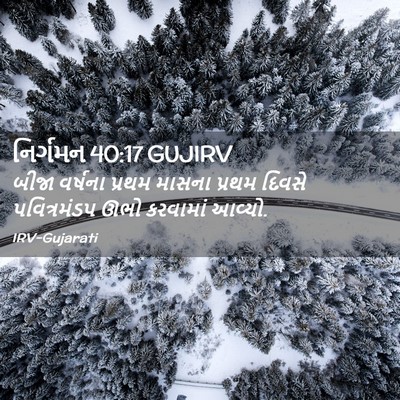 Picture 02 - નિર્ગમન 40:17 GUJIRV - બીજા વર્ષના પ્રથમ - Bible Verse Picture