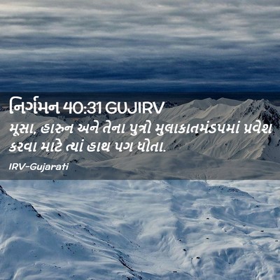 Picture 02 - નિર્ગમન 40:31 GUJIRV - મૂસા, હારુન અને - Bible Verse Picture