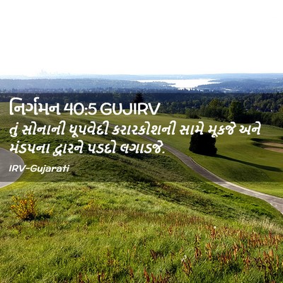 Picture 02 - નિર્ગમન 40:5 GUJIRV - તું સોનાની - Bible Verse Picture