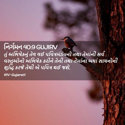 Picture 02 - નિર્ગમન 40:9 GUJIRV - તું અભિષેકનું તેલ - Bible Verse Picture