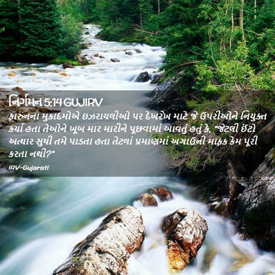 Picture 02 - નિર્ગમન 5:14 GUJIRV - ફારુનના મુકાદમોએ - Bible Verse Picture