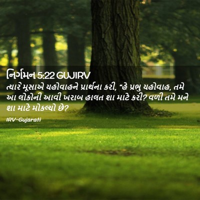 Picture 02 - નિર્ગમન 5:22 GUJIRV - ત્યારે મૂસાએ - Bible Verse Picture