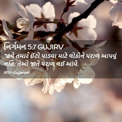 Picture 02 - નિર્ગમન 5:7 GUJIRV - “હવે તમારે ઈંટો - Bible Verse Picture