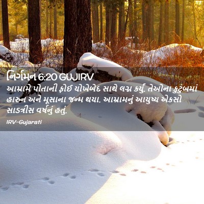 Picture 02 - નિર્ગમન 6:20 GUJIRV - આમ્રામે પોતાની - Bible Verse Picture