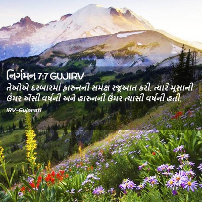 Picture 02 - નિર્ગમન 7:7 GUJIRV - તેઓએ દરબારમાં - Bible Verse Picture