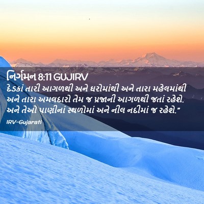 Picture 02 - નિર્ગમન 8:11 GUJIRV - દેડકાં તારી આગળથી - Bible Verse Picture
