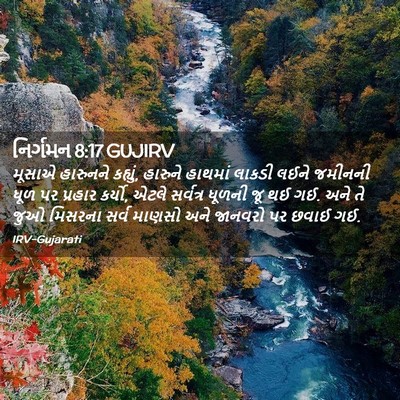 Picture 02 - નિર્ગમન 8:17 GUJIRV - મૂસાએ હારુનને - Bible Verse Picture