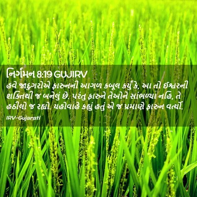 Picture 02 - નિર્ગમન 8:19 GUJIRV - હવે જાદુગરોએ - Bible Verse Picture