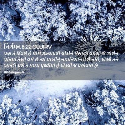 Picture 02 - નિર્ગમન 8:22 GUJIRV - પણ તે દિવસે હું - Bible Verse Picture
