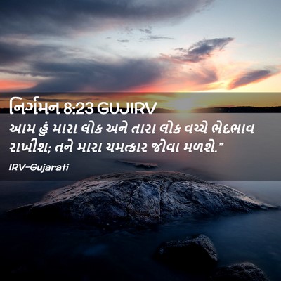 Picture 02 - નિર્ગમન 8:23 GUJIRV - આમ હું મારા લોક અને - Bible Verse Picture