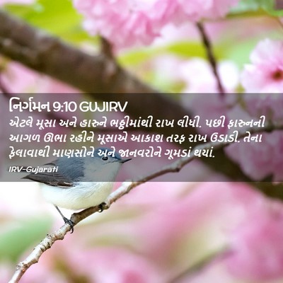 Picture 02 - નિર્ગમન 9:10 GUJIRV - એટલે મૂસા અને - Bible Verse Picture