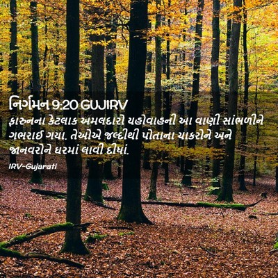 Picture 02 - નિર્ગમન 9:20 GUJIRV - ફારુનના કેટલાક - Bible Verse Picture