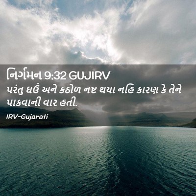 Picture 02 - નિર્ગમન 9:32 GUJIRV - પરંતુ ઘઉં અને કઠોળ - Bible Verse Picture